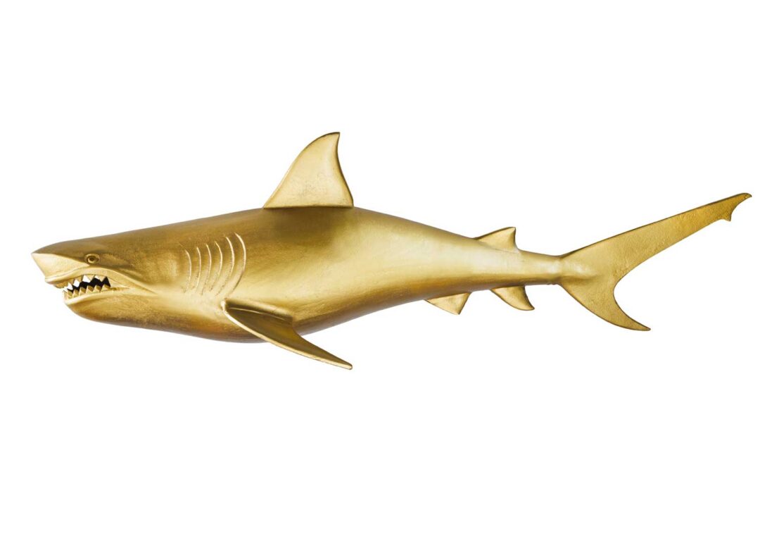 Requin mural couleur or design